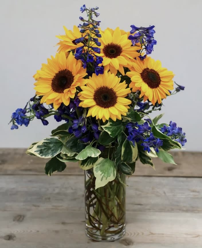 Sunflowers - Take every day brighter with our abundant bouquet of fresh sunflowers and Delphiniums . These radiant, long-lasting blooms bring that just-picked-from-the-meadow feeling to birthdays, get well wishes, or any day you want to make someone you care about smile
