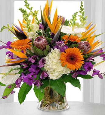Tropical Arrangements TR-A040 - This is the ultimate ‘take me away’ bouquet with a gorgeous combination of tropical and garden blooms…accented with a treasured touch of seashells.