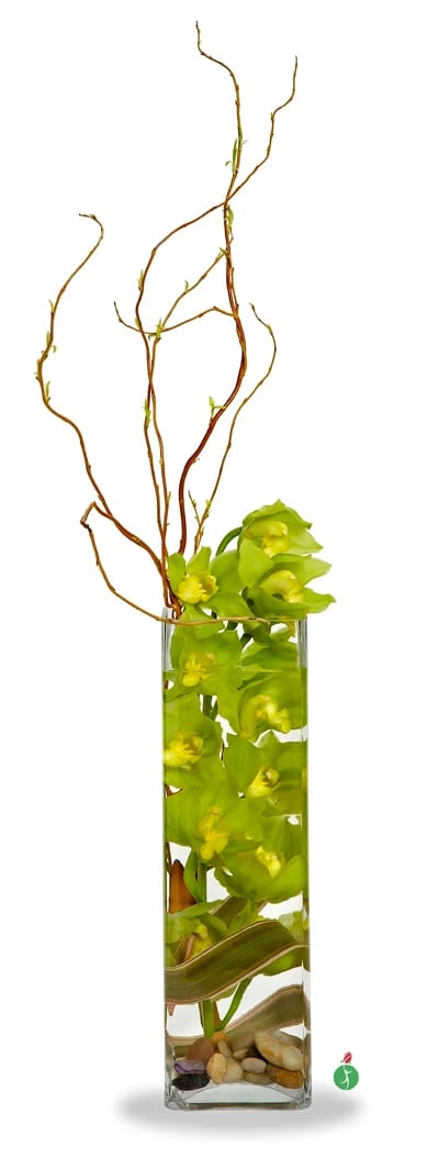 An Ocean of Orchids - Gorgeous submerged Cymbidium Orchids in crystal clear water evokes the beauty and calmness of the ocean. This simple yet stunning arrangement of Cymbidium Orchids, accented by Curly Willow a Tropical variegated leaf and river rocks is presented in a tall clear glass vase  and is lovely in any environment.