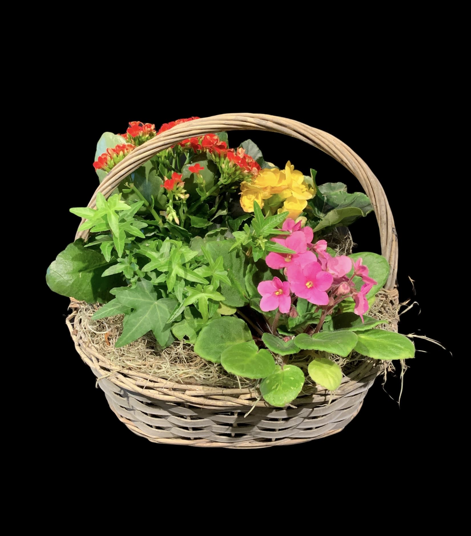 Blooming Plant Basket (containers and colors vary) in Franklin, TN