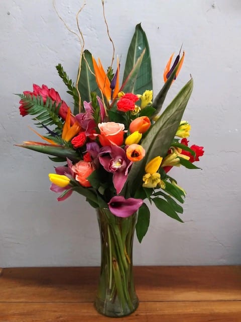 Take me to the Tropics - Beautifully Tropical Assortment