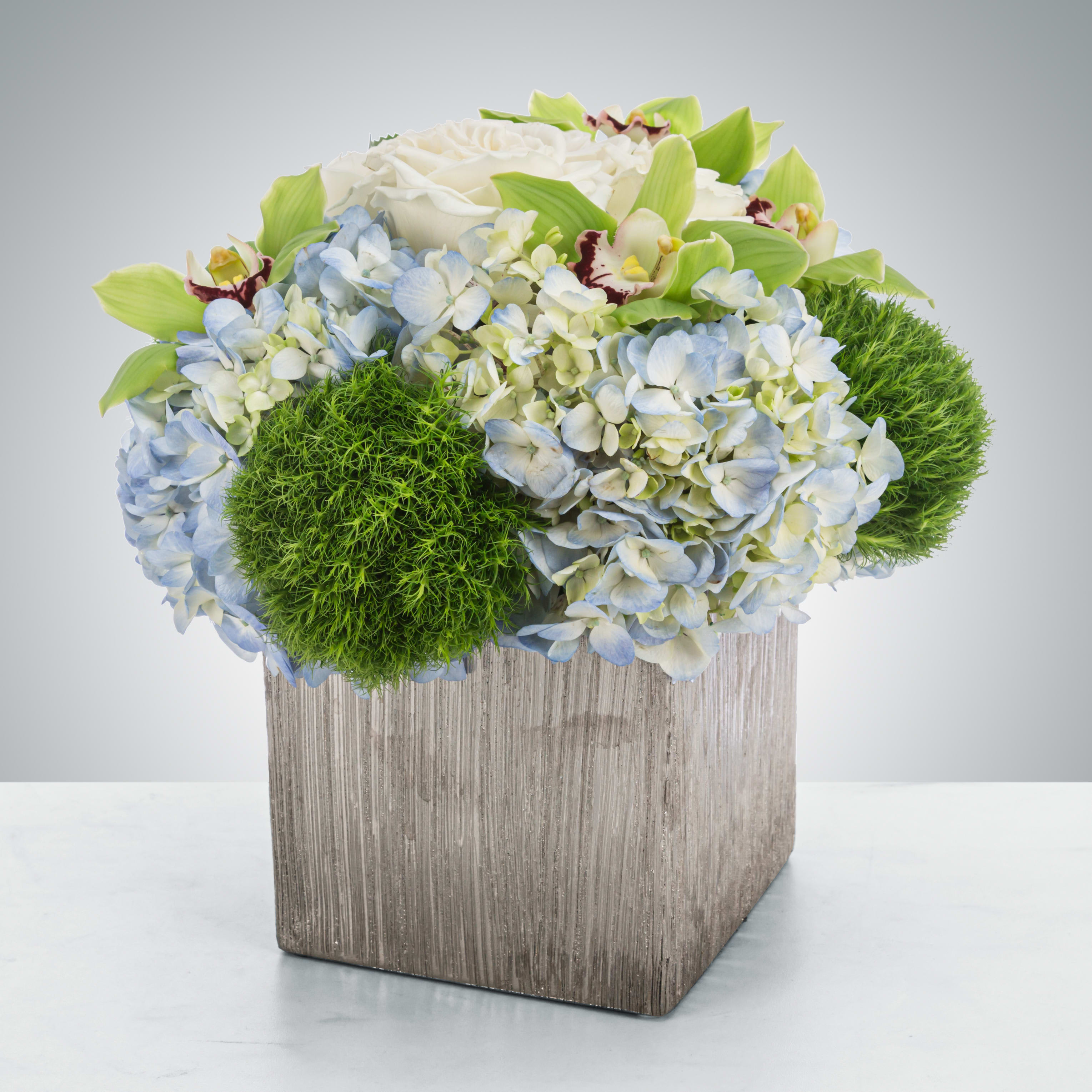 Sterling  - A blue and green arrangement in a stylish silver vase, this arrangement is a cool colored dream. Featuring blue hydrangea, green cymbidium orchids, and white roses this arrangement makes a great thank you gift or new baby present.  Approximate Dimensions: 10&quot;D x 11&quot;H