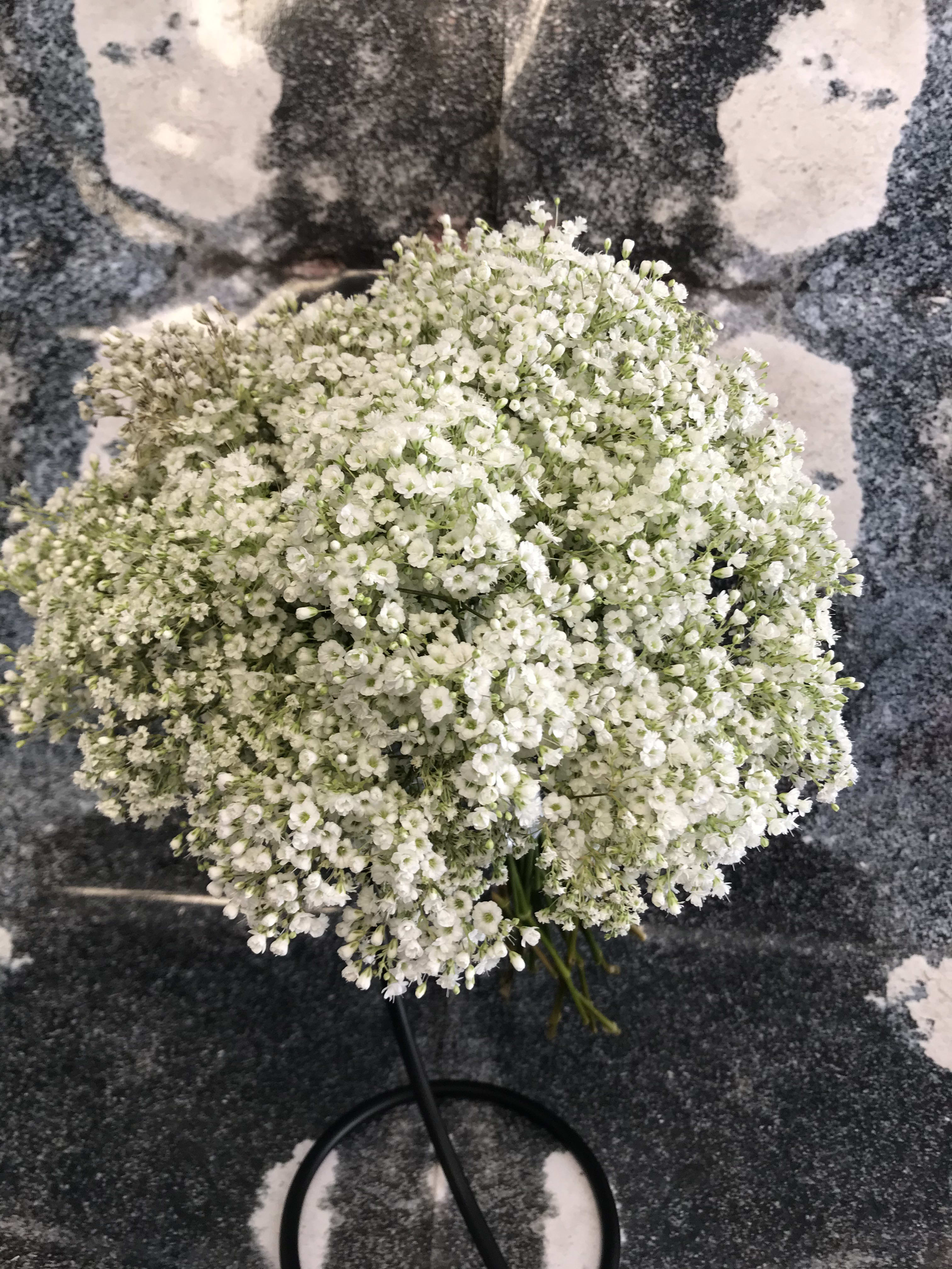 BRI004 Gypsophilia ( Babies Breath ) Bridal Bouquet by Victoria Park Flower Studio