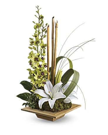Secret Oasis - The gift of serenity with this lovely arrangement of orchids, lilies and artistic greenery stunningly presented in a chic red bamboo dish.