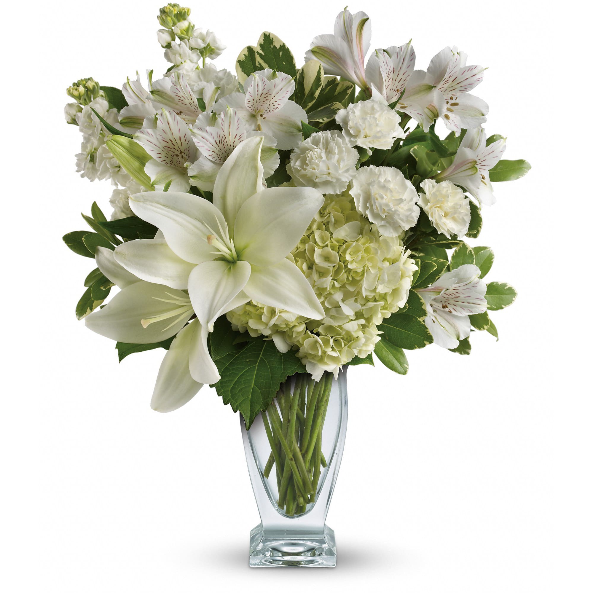 Teleflora's Purest Love Bouquet in Brighton, MA Amanda's Flowers