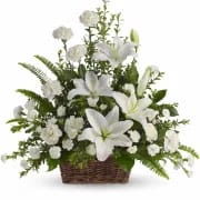 Peaceful White Lilies Basket by Teleflora - Whether you send this beautiful arrangement to the family home or to the service, all will appreciate its elegance and grace. The contrast of brilliant white blossoms and dazzling greenery create a wonderfully calm and dignified setting. 