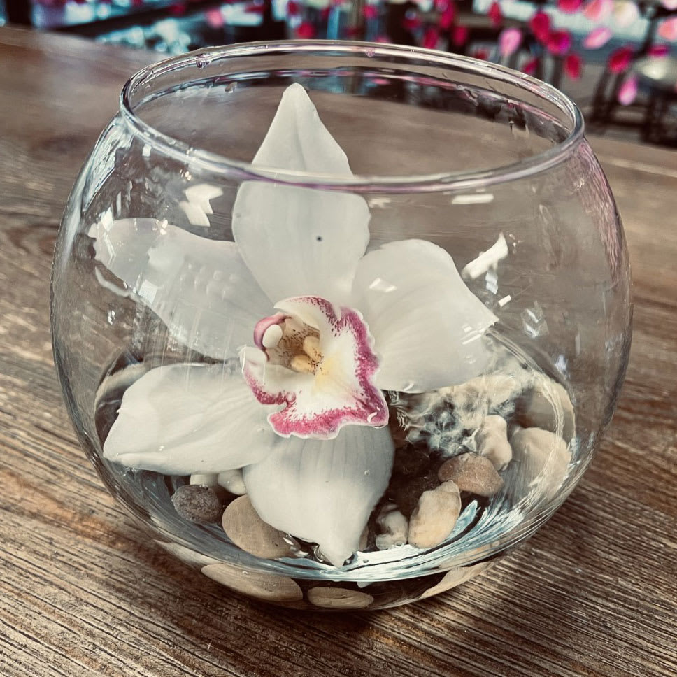 Cymbidium Flower Bowl in San Diego, CA | House of Stemms