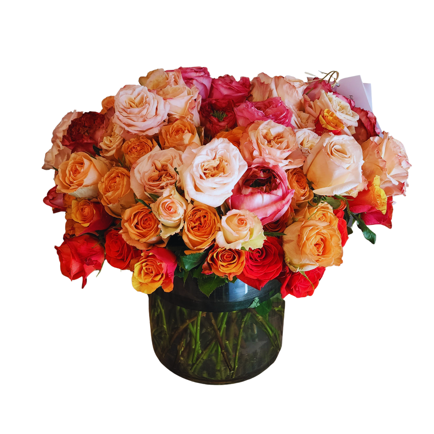 100 Orange and Peach Roses 100 Orange and Peach Roses - 100 premium Fair Trade roses. A spectacular gift It is a mixture of premium Ecuadorian garden roses, cabbage roses and fancy roses.