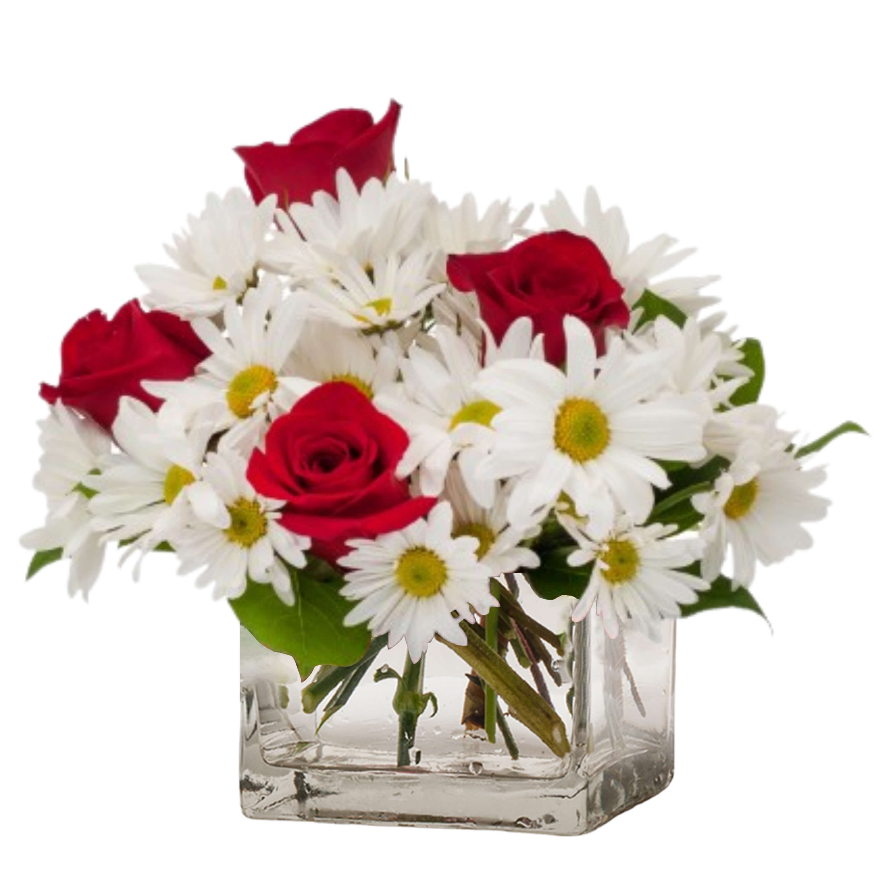 Maggie Rose - TMF-1536 - Our Maggie Rose is perfect for the little sweetheart in your life. Daisies and roses fill a square vase. Approximately 8&quot;W X 8&quot; H 