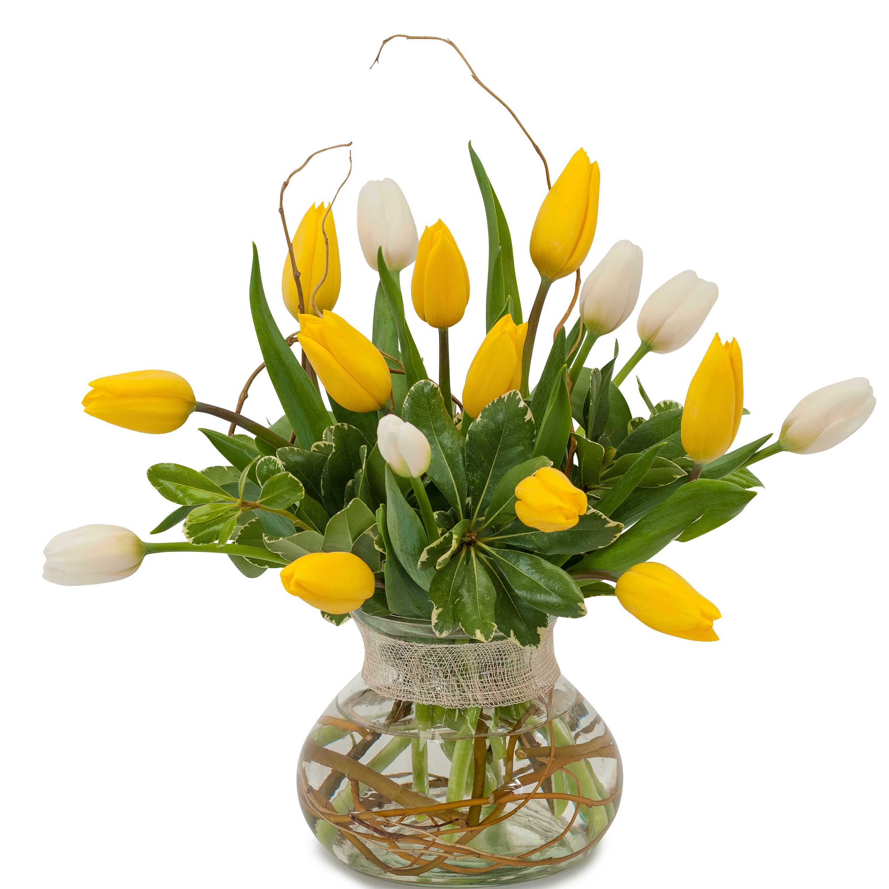 Fresh Linen - TMF14-250 - Yellow and white tulips with the natural touch of willow. Approximately 10&quot;W X 12&quot;H