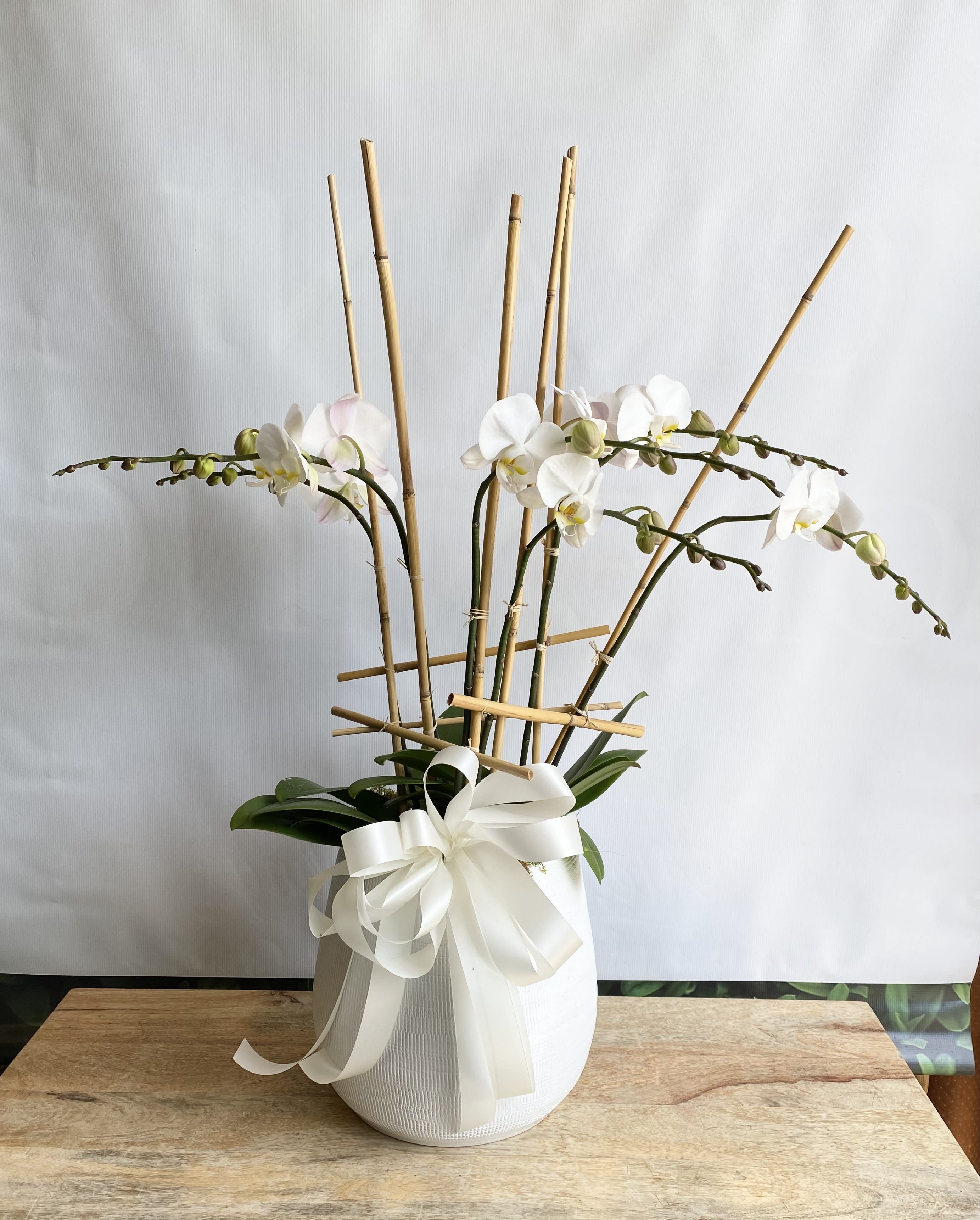 Real Touch White Phalaenopsis Orchids 6 stem Real Touch White Phalaenopsis Orchids 6 stem - We take great pride in our beautiful Phalaenopsis orchid plants. We pot them up in stylish ceramic containers and accent them with moss, branches and interesting textural elements for a display that is sure to wow the recipient. Container and accents may vary from the photograph to match the occasion and recipient. Select 'Deluxe' for 6 stem stem orchid plants. Select 'Premium' for 8 stem orchids plants. Select and make Special Instructions of you want pink color!