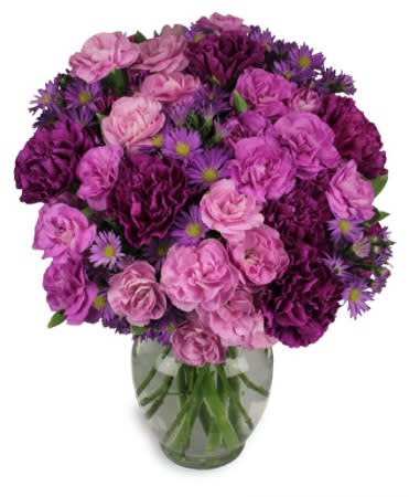 Purple Passion - Various shades of purple