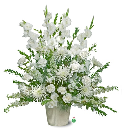 Traditional all white spray  - A beautiful display of all white flowers – including such bright blossoms as gladioli, carnations and stock – will show your thoughtfulness and sentimentality. It’s as clean and pure as a fresh winter snowstorm.