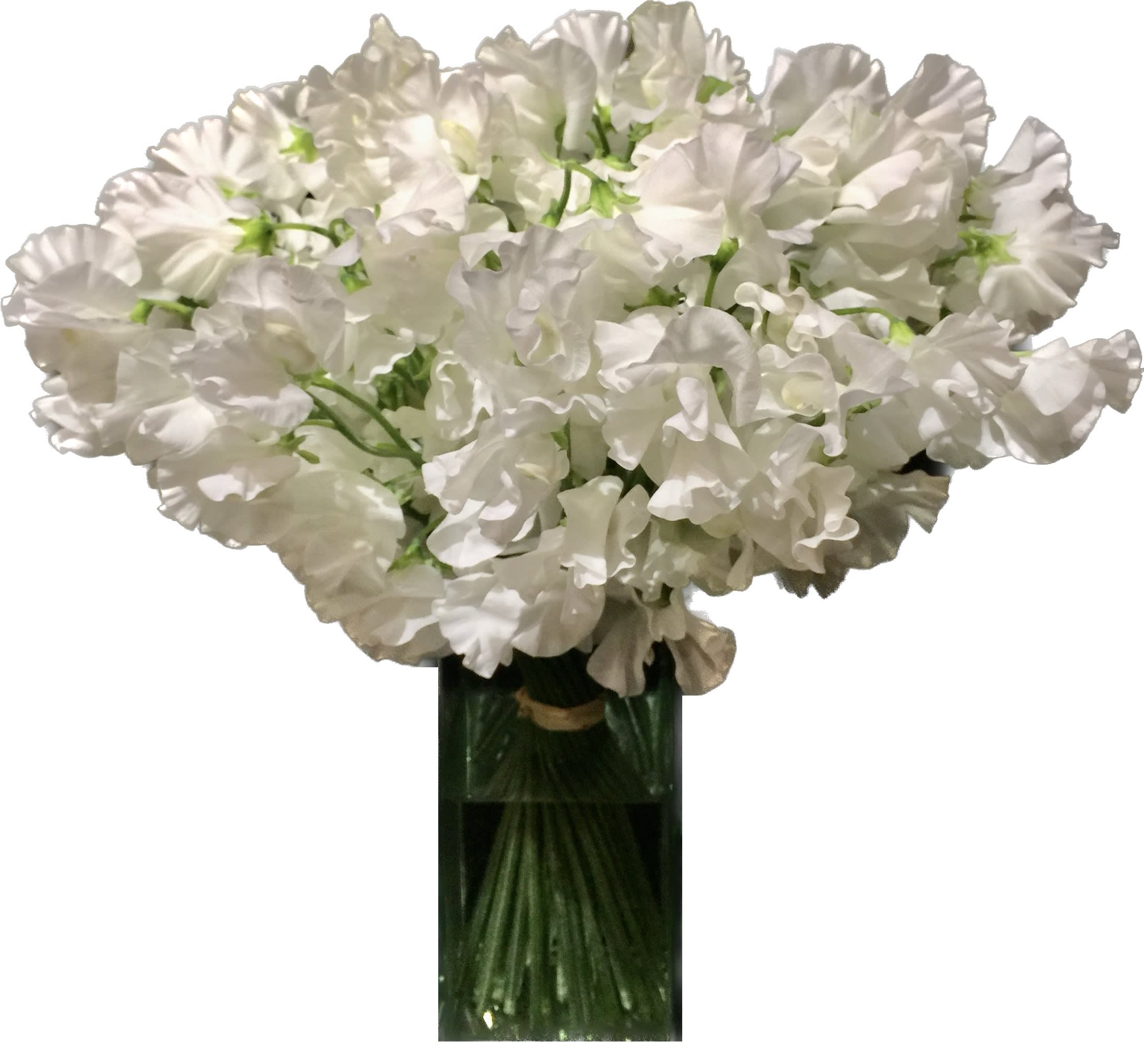 The Sweet Pea The Sweet Pea - Looking for the perfect way to show off your favorite pea? Our Sweet Pea Arrangement is the most beautiful way to express love and appreciation. Each gorgeous arrangement is expertly hand-arranged in a clear glass vase.