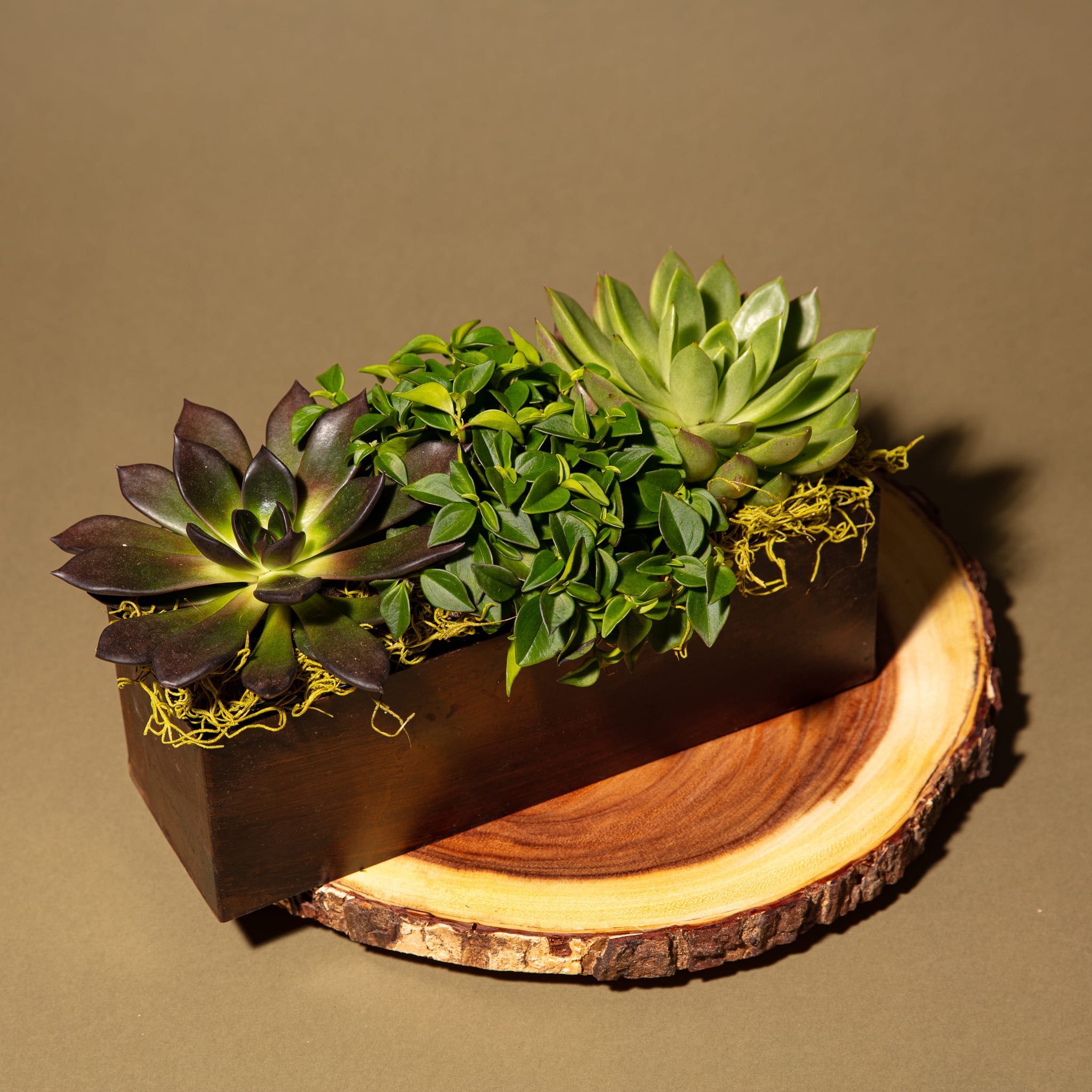 Spice Rust in Wichita, KS Beards Floral Design