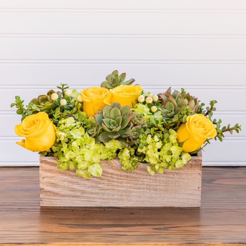 Mellow Yellow  - Yellow roses with green succulents and a crisp white rectangular box, this arrangement brightens and soothes any space. Perfect for saying happy birthday, welcoming new babies and saying thank you. A crowd pleaser, this arrangement appeals to both the contemporary and the classic.  APPROXIMATE DIMENSIONS 12&quot; W X 6&quot; H 