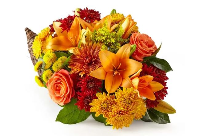 Fresh Floral Cornucopia - Bursting with bold fall lilies, roses, and mums - this impressive cornucopia of color will look perfect on their Thanksgiving table or in their living room! Send festive fall flowers to a friend or loved one who is in need of a pick-me-up or celebrating the season. These beautiful autumn hues will pop in any room of their home.  Includes: • Orange lilies • Solidago • Red Cushion Poms • Butterscotch Cushion Poms • Yellow Button Poms • Orange Roses  • Butterscotch Mums 