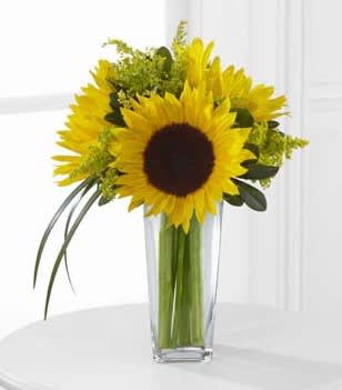 FTD Sunshine Daydream Bouquet - The FTD Sunshine Daydream Bouquet highlights stunning sunflowers to  capture their every attention with its bright beauty. Gorgeous  sunflowers are accented with solidago, lily grass blades and lush greens  to create a memorable flower bouquet. Presented in a clear glass  tapered square vase, this arrangement sends your warmest wishes and  highest hopes for the days ahead. GOOD bouquet includes 3 stems. Approx.  14H x 10W. BETTER bouquet includes 4 stems. Approx. 14H x 11W. BEST  bouquet includes 6 stems. Approx. 16H x 13W. 
