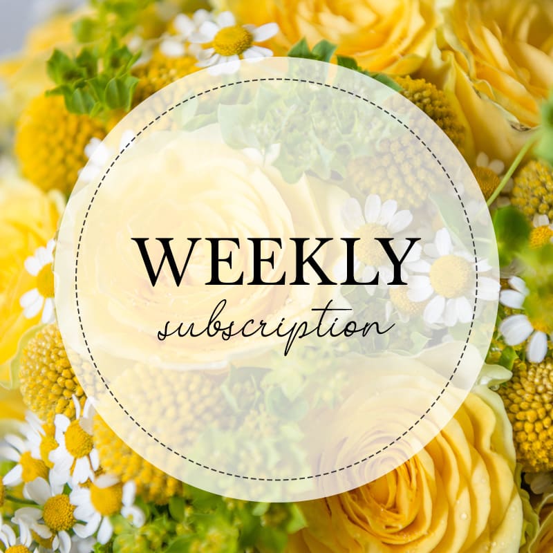 Flowers on sale delivered weekly
