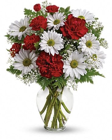 Pure Heart - A Pure Heart full of everything nice on Valentine's Day! This arrangement of red carnations, white daisies and baby's breath will surprise and delight your special someone!