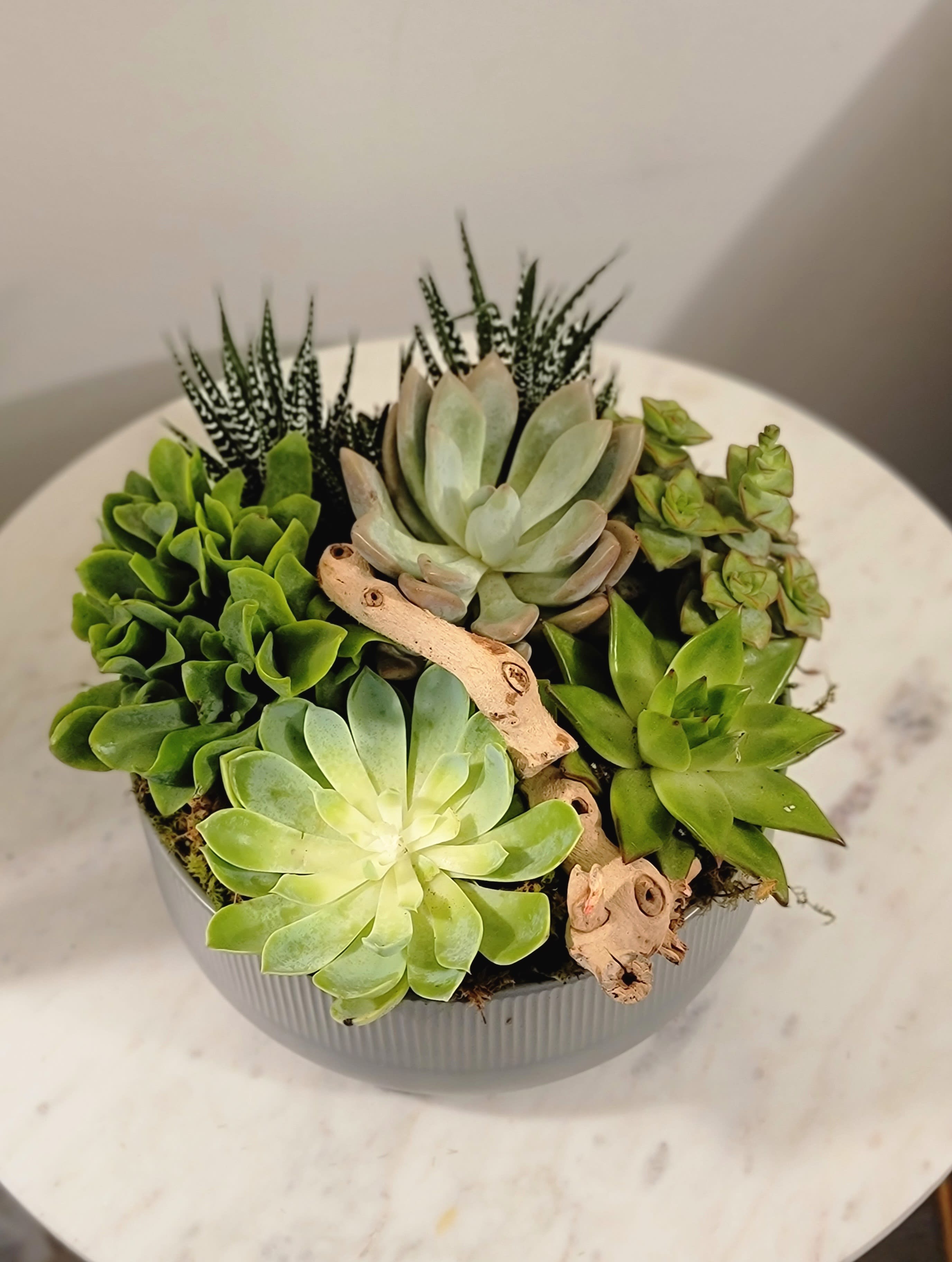 Topanga Succulents  - Succulents are popular due to their variety and unpretentiousness. We will help you create a cute little masterpiece that will decorate your desktop, rest area. It will be a great gift that will delight its recipient for several months.