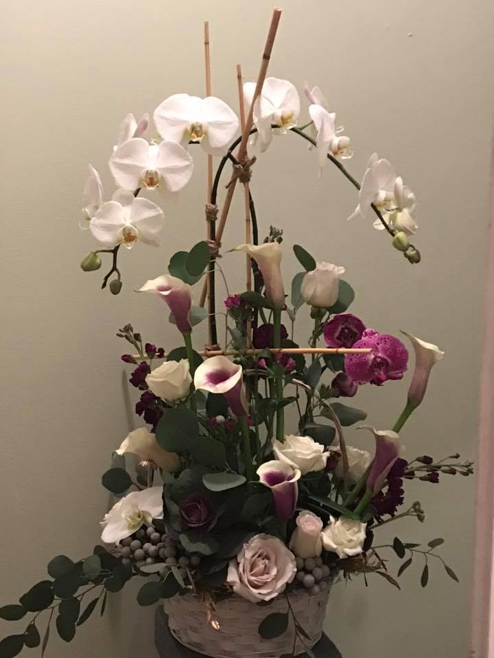 Premium Phalaenopsis Planter by Zionsville Flower Company