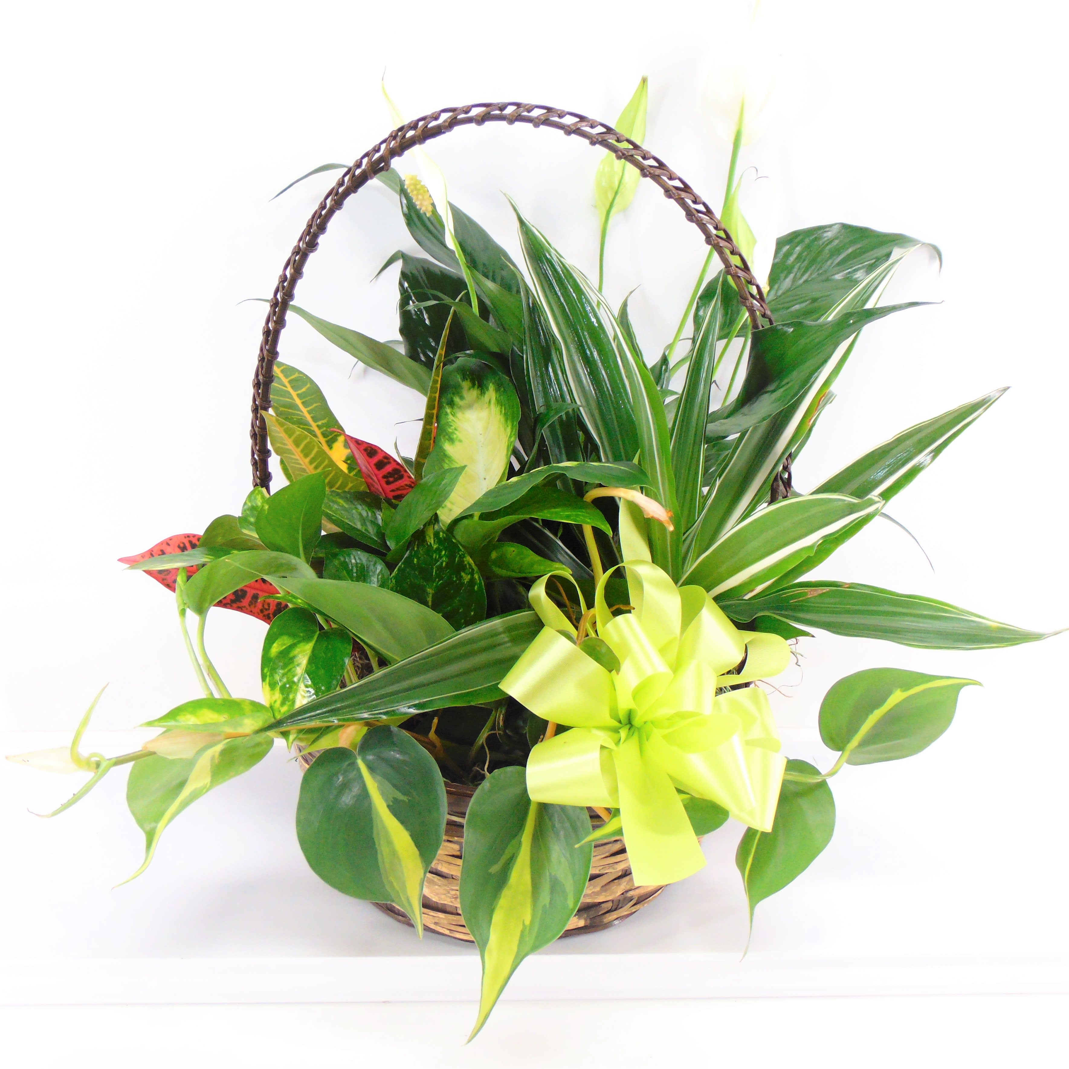 Large Basket Garden in Avon, NY Avon Floral World, Gift Shoppe