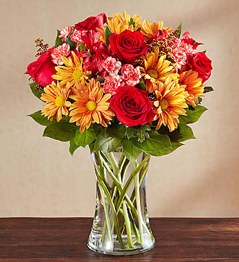 Sunlit Autumn Medley™ Sunlit Autumn Medley™ - A beautiful mix of red roses, alstroemeria and fall daisy accented with a fall ribbon