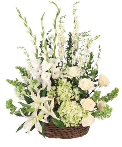 Peaceful Basket  - Send your deepest condolences to the family and friends with a basket of flowers that truly embraces the brilliant beauty of a lost loved one and brings peace to the ones who are grieving. The Peaceful Basket would be an elegant addition to any memorial service or can be sent to the home for a more personal tribute. Featuring comforting white lilies with graceful accents of pale green hydrangeas, this basket is sure to portray your sincerest sympathies. 