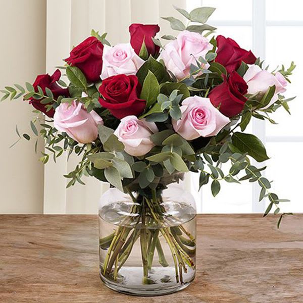 Red and Pink Roses  Bouquet - A beautiful Combination of Red and Light Pink Roses with Vase Cylinder create a peace that's sure to delight your loved ones