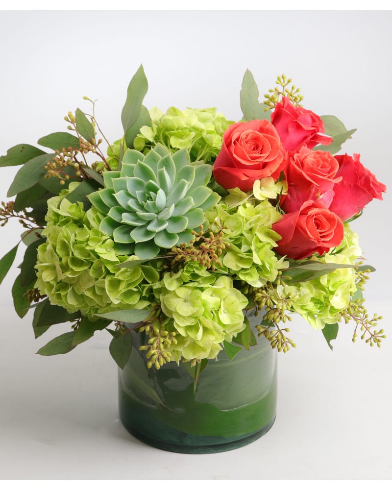 Succulent Splash Succulent Splash - Succulents, coral roses, green hydrangea and greens in a clear glass cylinder vase.