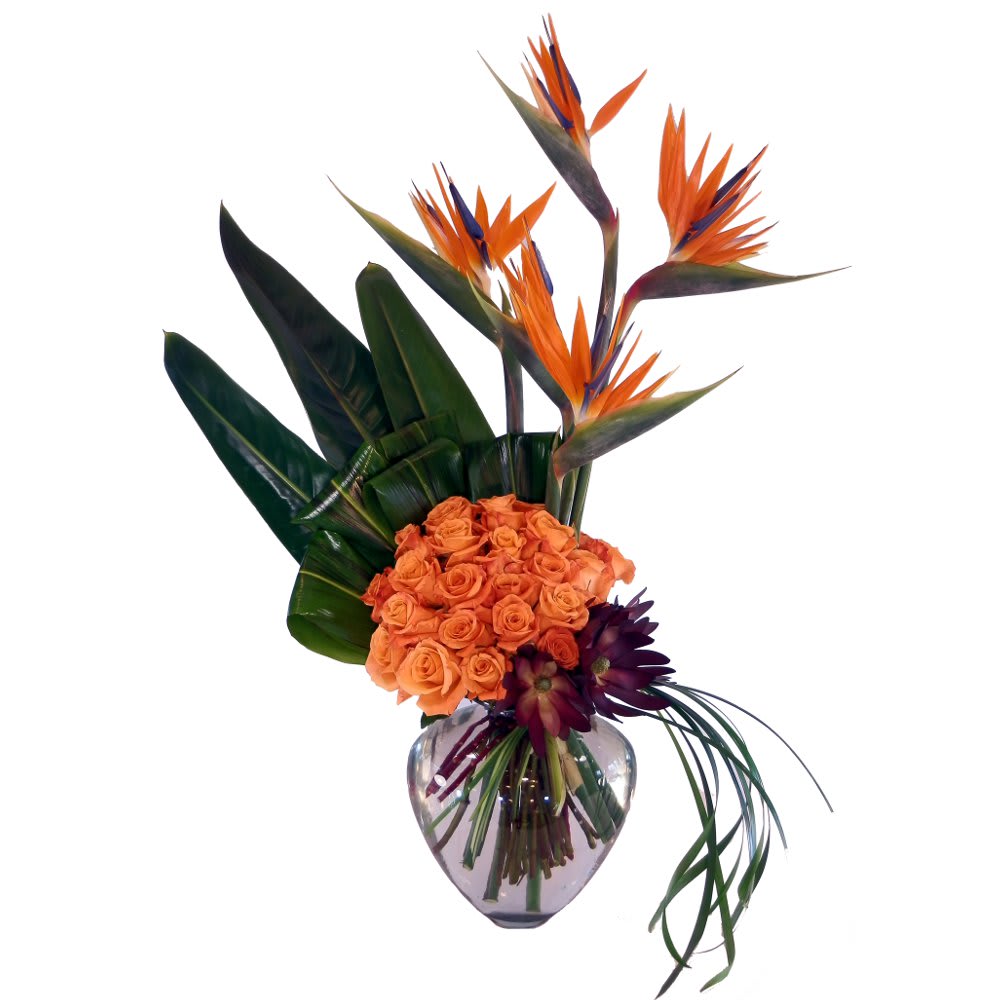 Affluence Affluence - Birds of Paradise, roses and leucadendron in an asymmetrical design that is accented with lily grass and ti leaves, in a heavy glass ginger jar.