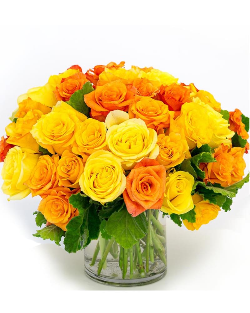 Rose Harvest Rose Harvest - Enjoy the colors of the season with this clear cylinder vase overflowing with roses in shades of yellow and orange.