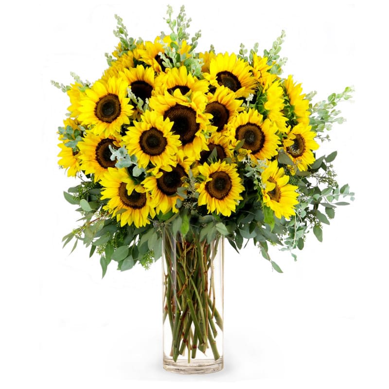 A beautifully Bouquet A beautifully Bouquet - Beautiful Sunflowers artfully arranged in a glass vase. A beautifully unique yet simple flower, sunflowers are perfect for any occasion or just to brighten someones day.