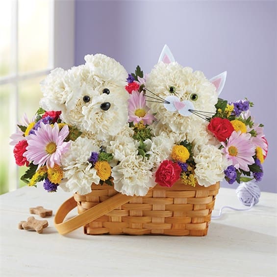 Paw-Some Pals - Surprise a pet lover in your life with our truly original arrangement. An adorable cat and dog duo are expertly crafted with white carnations, surrounded by a mix of bright and cheery blooms. Set in a charming, handled basket, it’s a sweet gift for birthdays, to say “thanks” or just to make someone smile. Paw-Some Pals™ is a one-sided arrangement of white carnations, hot pink mini carnations, yellow button poms, lavender daisy poms and purple statice; accented with solidago, buplerum and fresh greenery Hand-crafted in the shapes of a cat and a dog, each complete with eyes, nose and ears Set in a charming 9.5”L handled basket Arrangement measures overall approximately 12&quot;H x 13&quot;L Our florists hand-design each arrangement, so colors and varieties may vary due to local availability