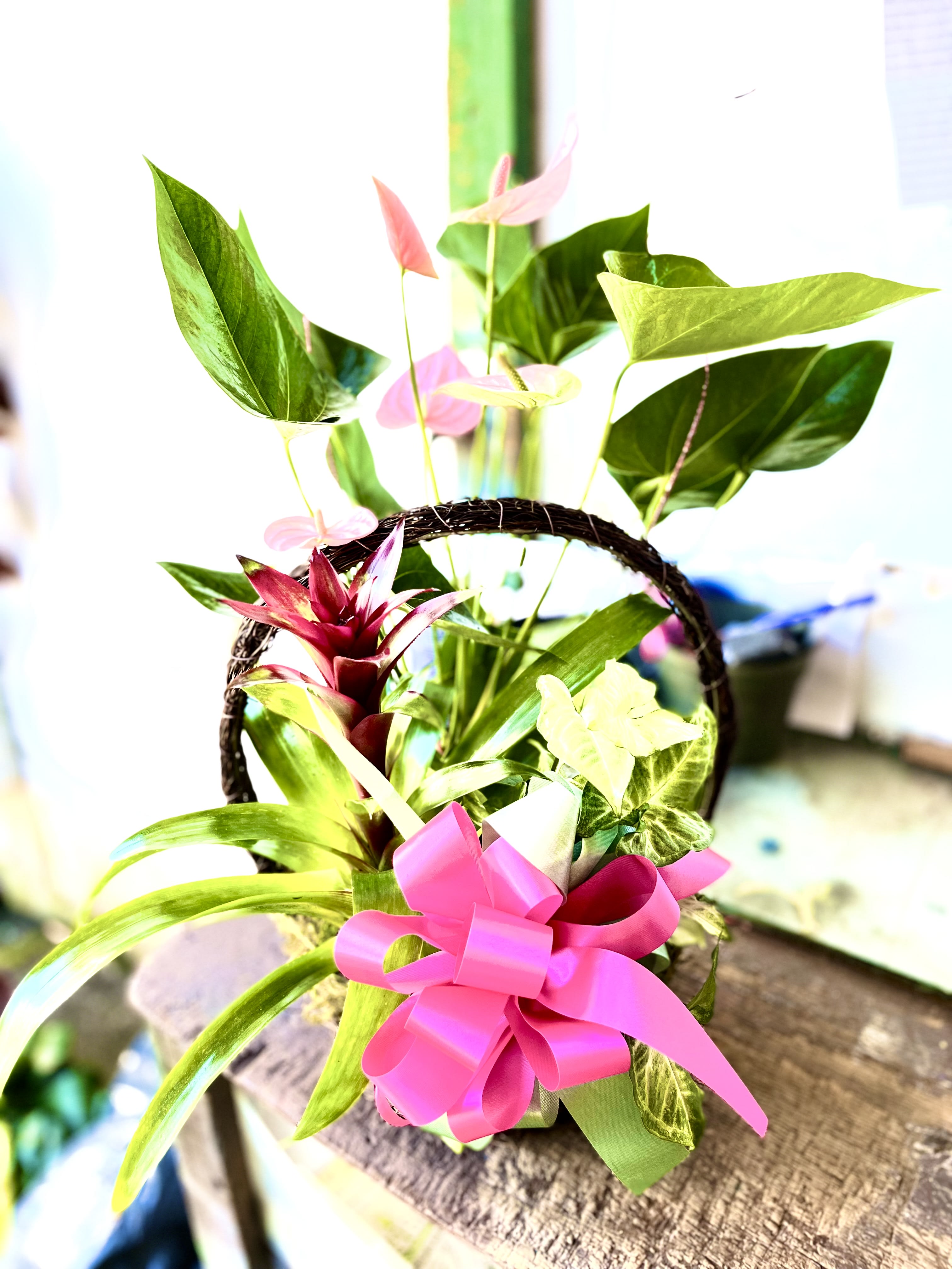 MEDIUM DISH GARDENS in Lihue, HI Flowers Forever LLC