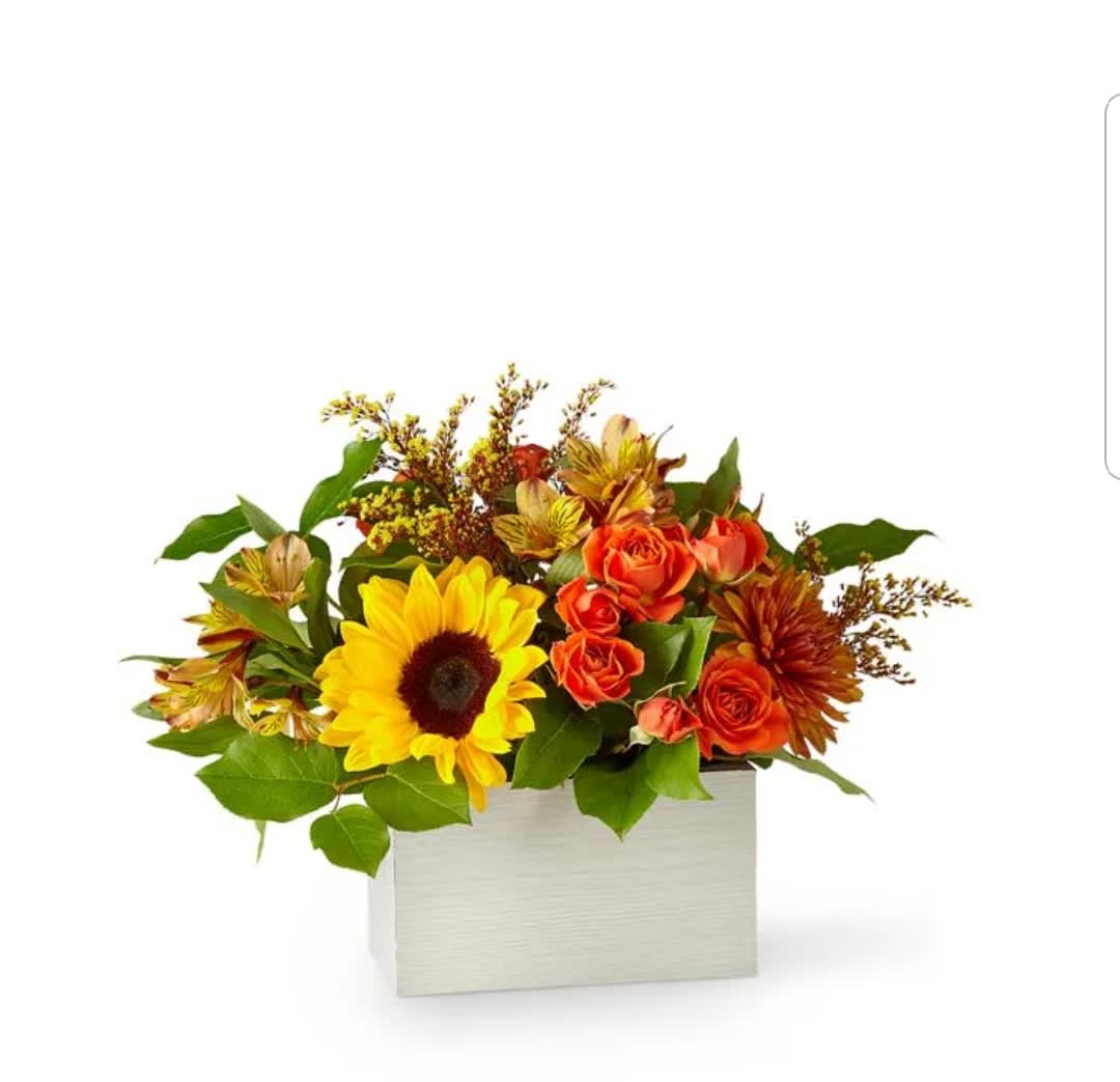 Golden Sunflower  - This Bold Golden Sunflower Is The Perfect Fall Gift For A Friend 