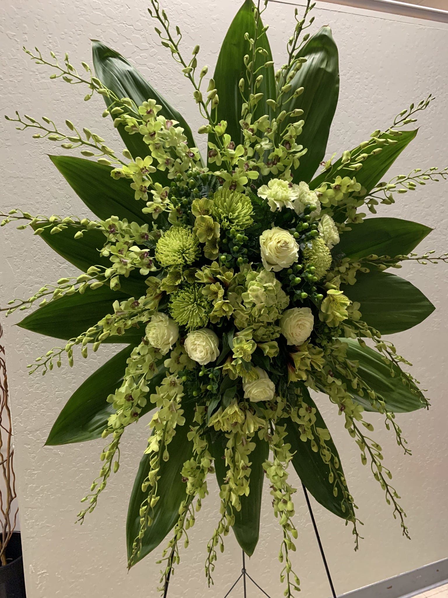 SS#13 Green Grace Spray - A stylized monochromatic spray of greens.  Feature flowers include green hydrangea, roses, dendrobium orchids, spider mums, astromeria,  hypercium and ti leaves.  Standard as show