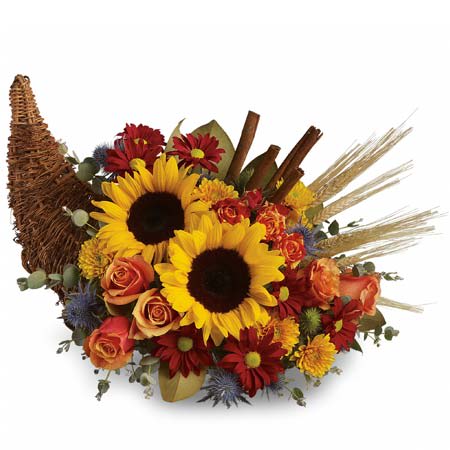 Thanksgiving Cornucopia - Celebrate the season of Thanksgiving with this traditional symbol of autumnal abundance. The perfect Thanksgiving table decoration, this beautiful cornucopia is rendered as a horn-shaped wicker basket filled with fall flowers and harvest wheat. Also, ideal for the kitchen counter, coffee table or entryway. Gorgeous sunflowers and lush orange roses are accented with unique blue eryngium, red daisies, yellow cushion mums, parvifolia eucalyptus and magnolia leaves in a wicker cornucopia-shaped basket. Cinnamon sticks and harvest wheat are comforting fall touches.