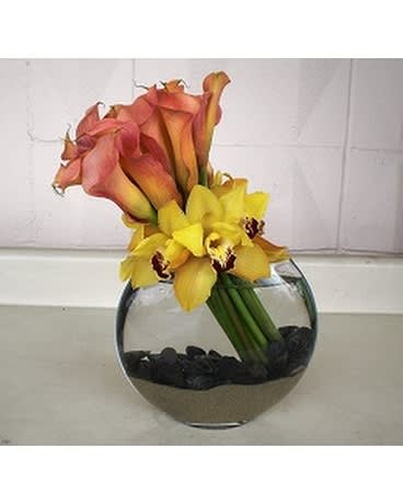 Mango Callas - Mango Callas  Product ID: DE-490594-A
