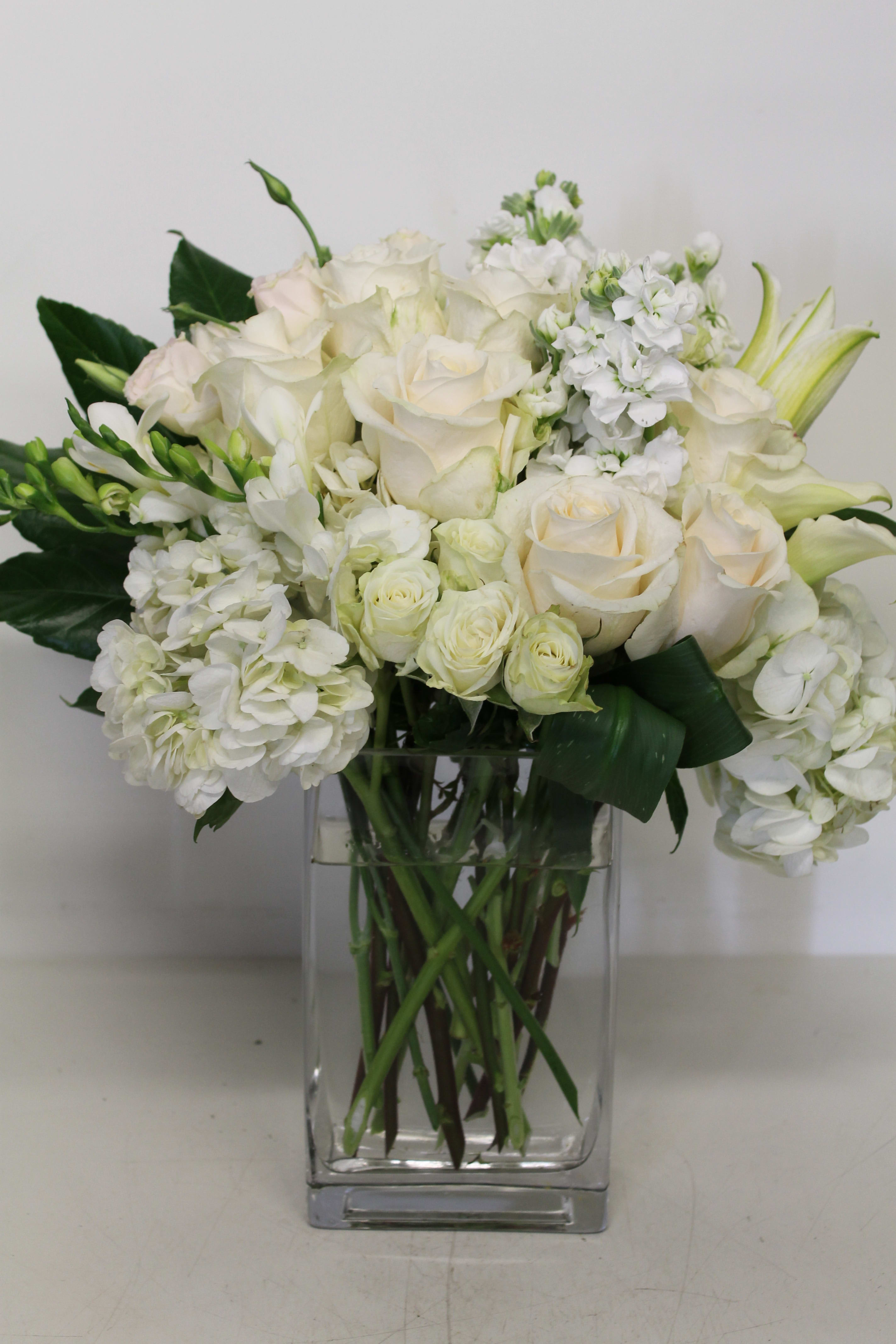 White Dream White Dream - Beautiful