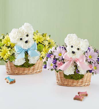 Pick of the Litter Pick of the Litter - When it comes to new baby gifts, our truly original arrangement is the pick of the litter! Fresh white carnations are expertly crafted in the shape of an adorable dog, surrounded by a mix of fresh, colorful blooms and nestled inside a charming basket. Choose “baby girl” or “baby boy” in special instructions for a sweet surprise that’ll leave the new parents smiling.