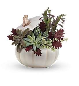 Spooky Succulent - This live garden features a variety of succulents and cacti accented with transparent oak leaves and river rocks. Delivered in Teleflora's Enchanted Harvest Pumpkin. Approximately 11&quot; W x 11&quot; H 