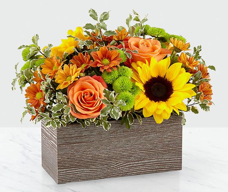 Happy Harvest Garden™ (F3) Happy Harvest Garden™ (F3) - Savor the freshness of fall with our Happy Harvest Garden. Packed with a collection of orange roses, bright sunflowers and butterscotch daisy pompons, this arrangement is a gorgeous gift for any occasion this Autumn. Whether it's for an inviting centerpiece or festive décor in any room, these blooms are sure to bring smiles all season long. Size is approximate. 10"H x 16"W
