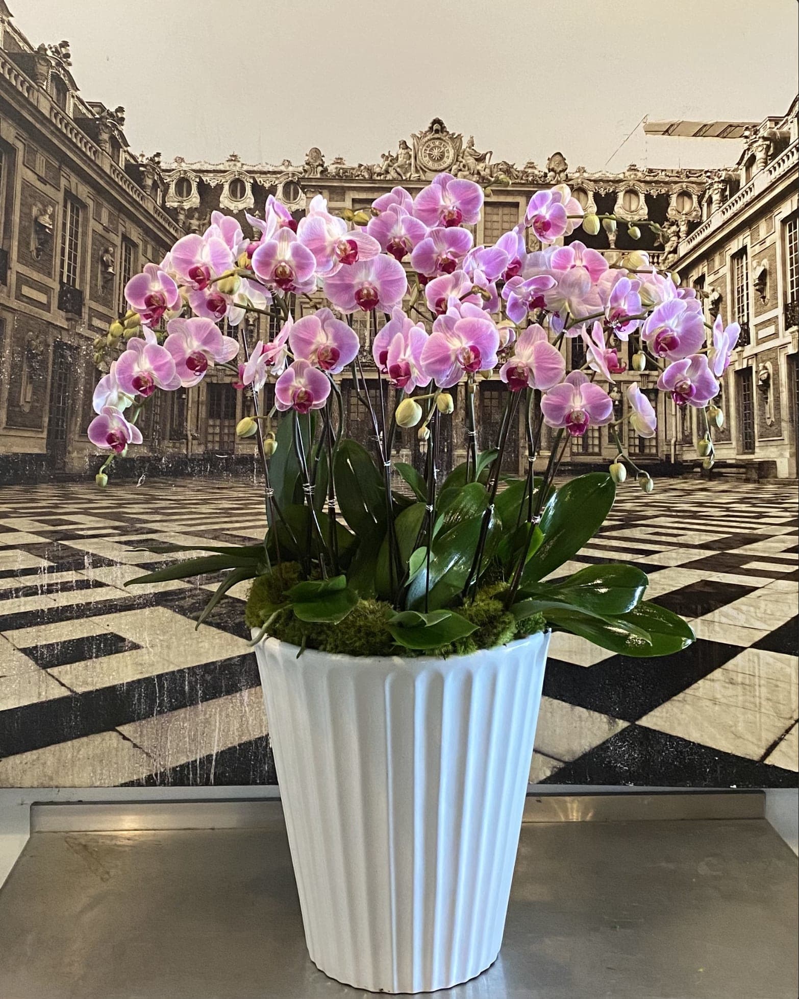 Purple Dancing Orchids - A large, beautiful arrangement of purple phalaenopsis orchids! Beautiful as is!