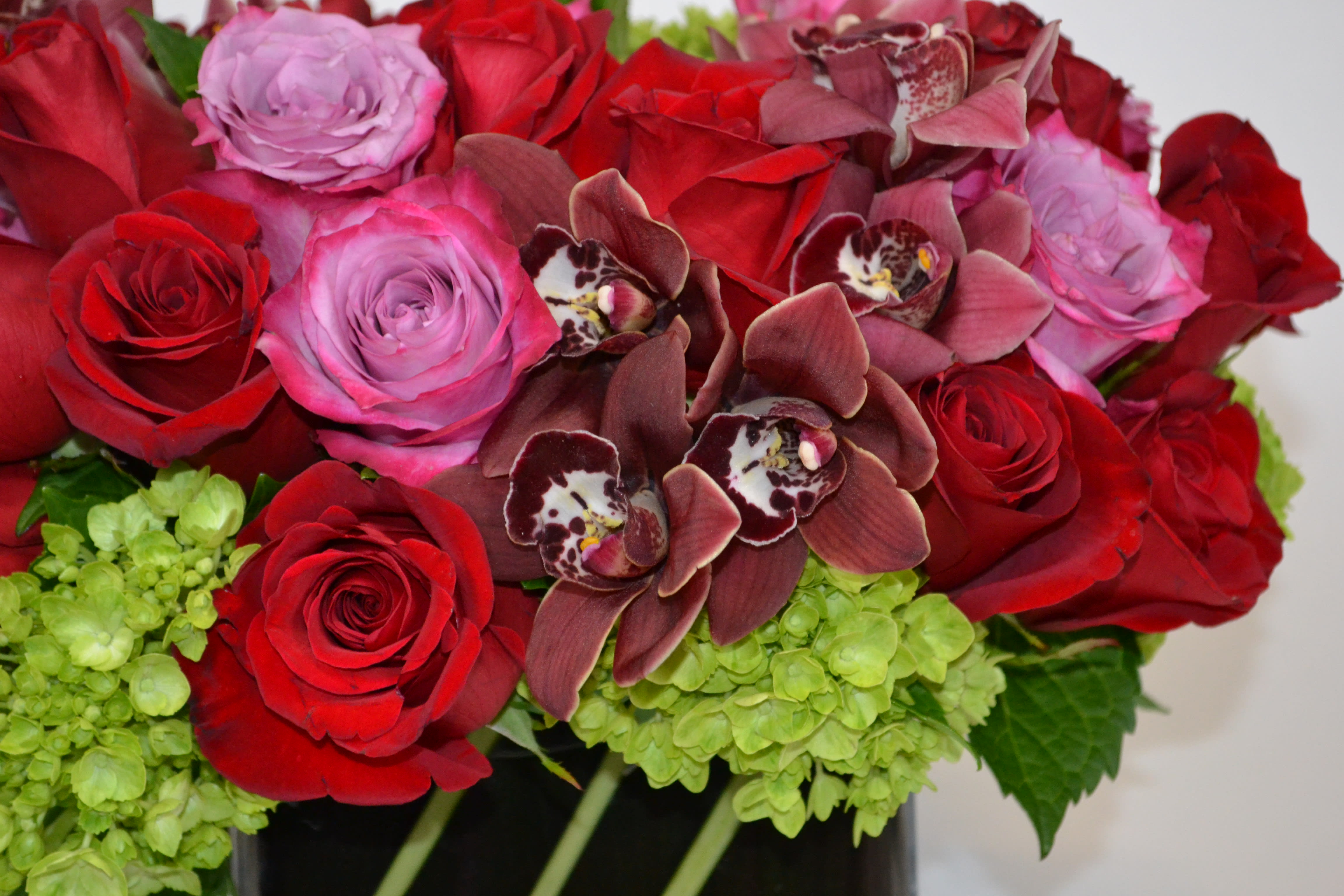 red wine cymbidium - full of stile a cube vase with a dark leave inside the vase with mini green hydrangeas, red and purple roses with a cymbidium orchid around.