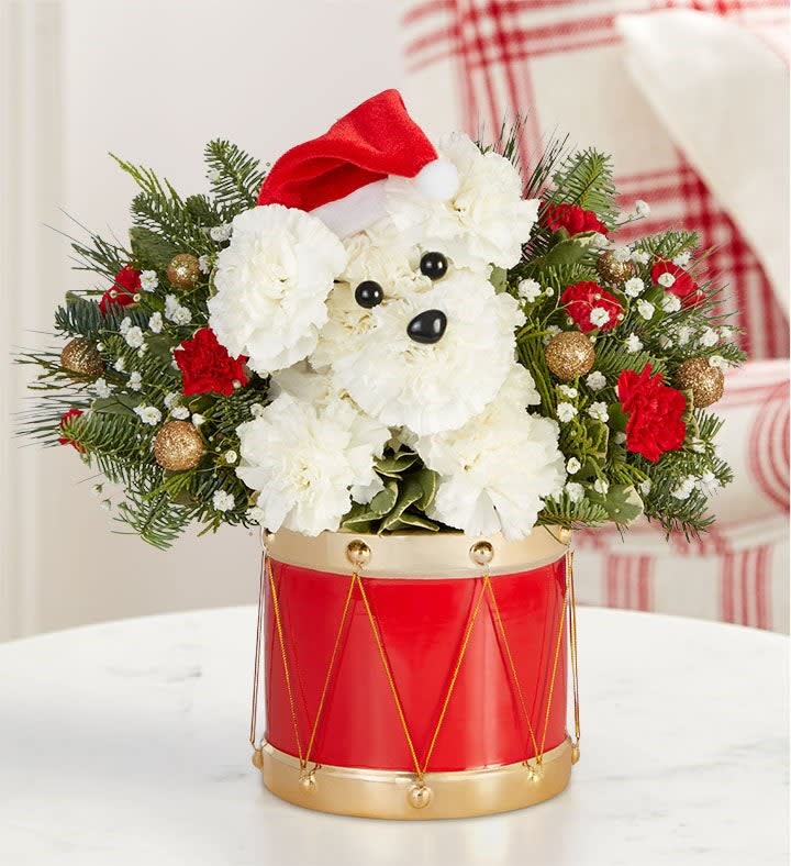 Santa Paws - 3D arrangement with white carnations and red mini carnations; accented with baby’s breath, gold glitter ornaments and assorted Christmas greenery Crafted in the shape of a dog, complete with eyes, nose, and Santa hat Artistically designed in our exclusive Musical Merriment vintage-styled ceramic drum; measures 5&quot;H x 5.25&quot;W Arrangement measures approximately 13&quot;H x 9&quot;W Our florists hand-design each arrangement, so colors and varieties may vary due to local availability