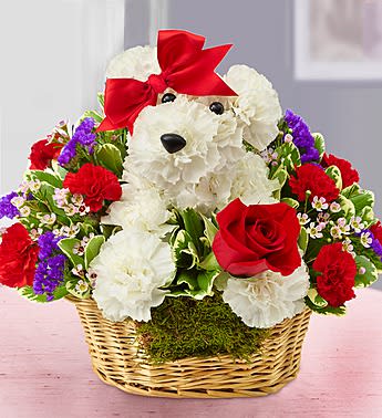 Love Pup - white carnations, a red rose, red mini carnations, purple statice, pink waxflower and variegated pittosporum; accented with a red bow