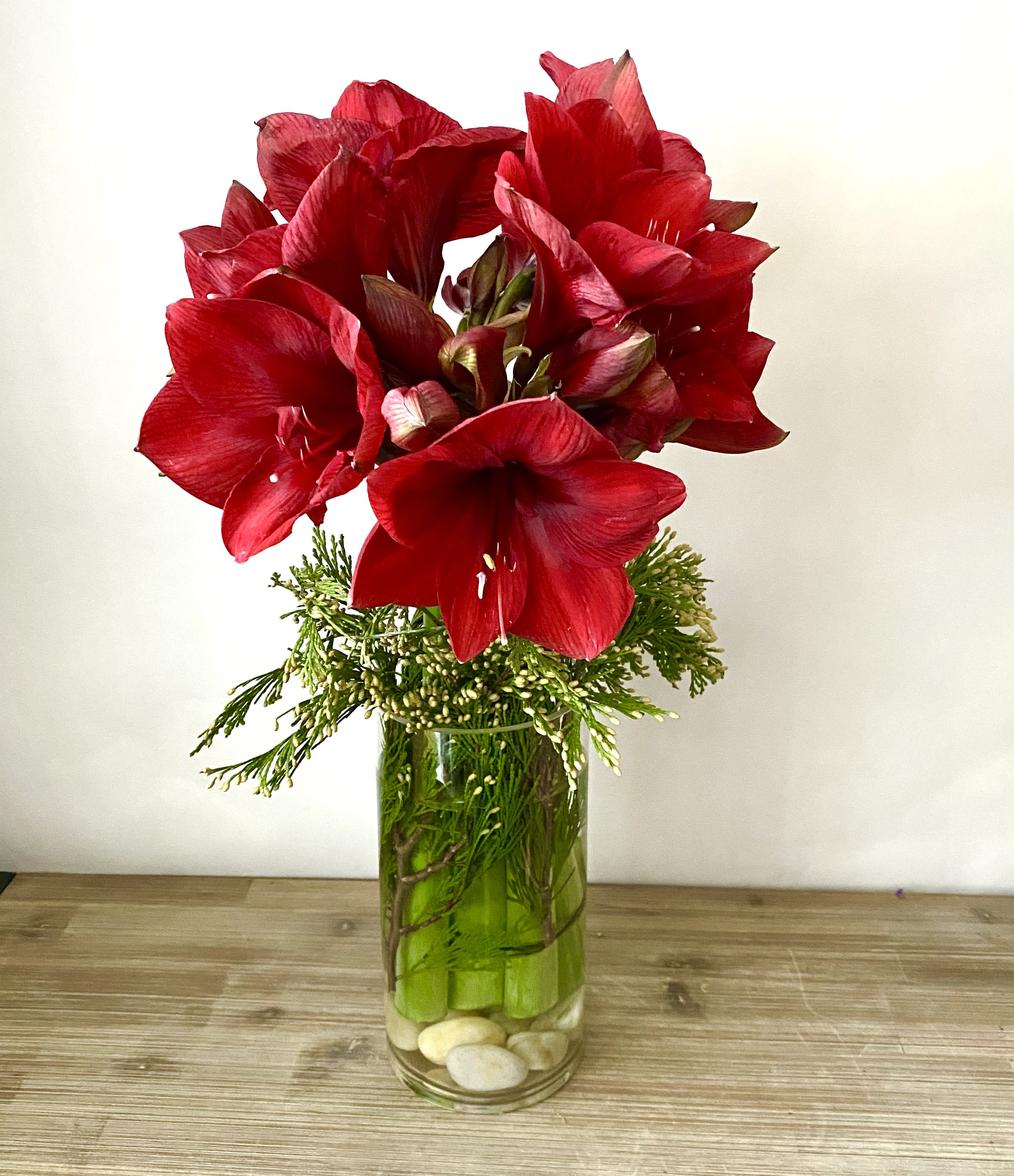Christmas Amaryllis Arrangement by Shoots and Blooms of D.C.