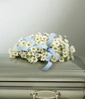Precious Baby Boy &quot;Infant Casket Spray With Daisies&quot; -  Beautiful daisy casket spray wrapped by a local florist with a blue ribbon. Arranged by hand with love these daisy stems created in your tribute. Due to the urgency of the occasion, our florists use the freshest flowers available, so floral colors, varieties and container may vary  we will always contact you. Same day delivery for funeral flowers is available when needed. Arrangement measures approximately 18&quot;H x 20&quot;W x 32.5&quot;L